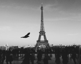 Eiffel Tower in Paris